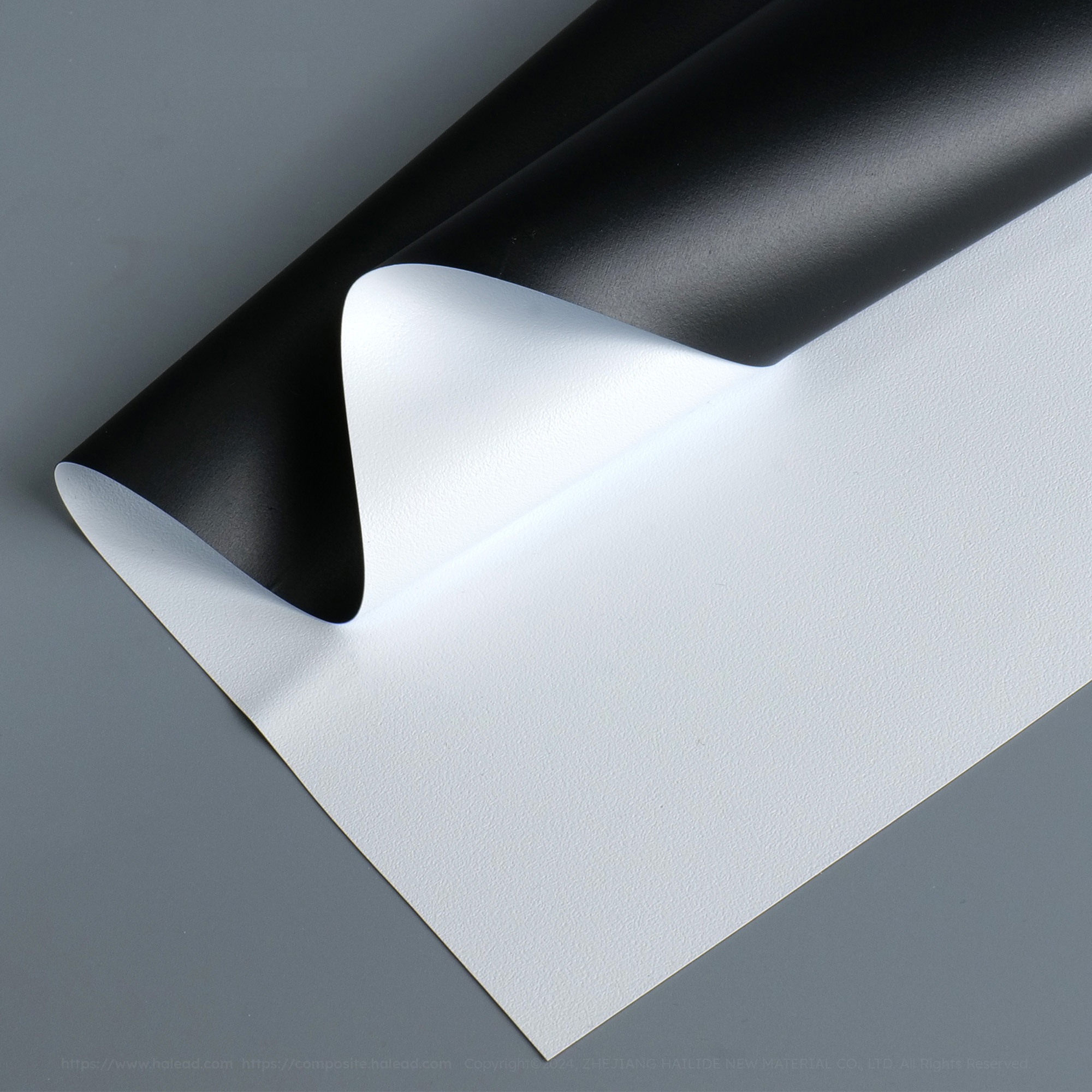Projection Film